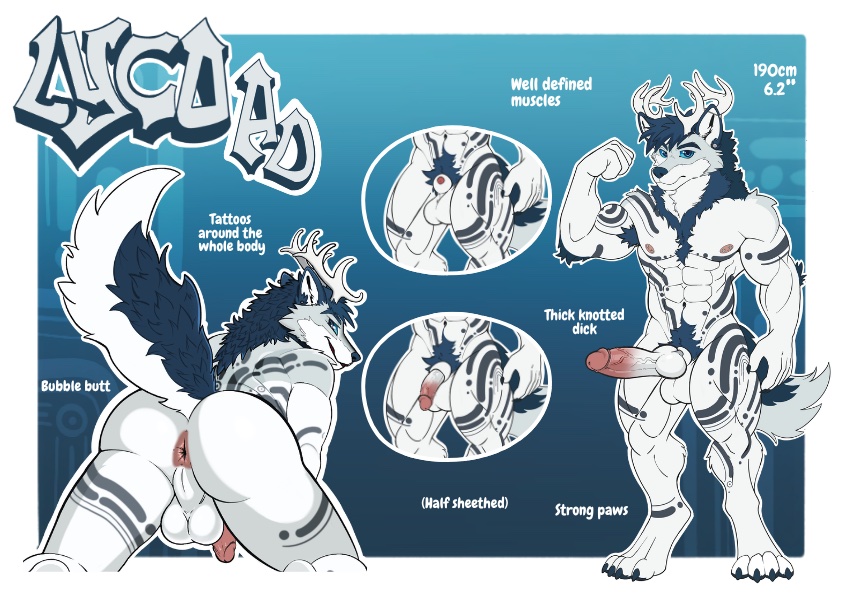 Lyco reference, after dark