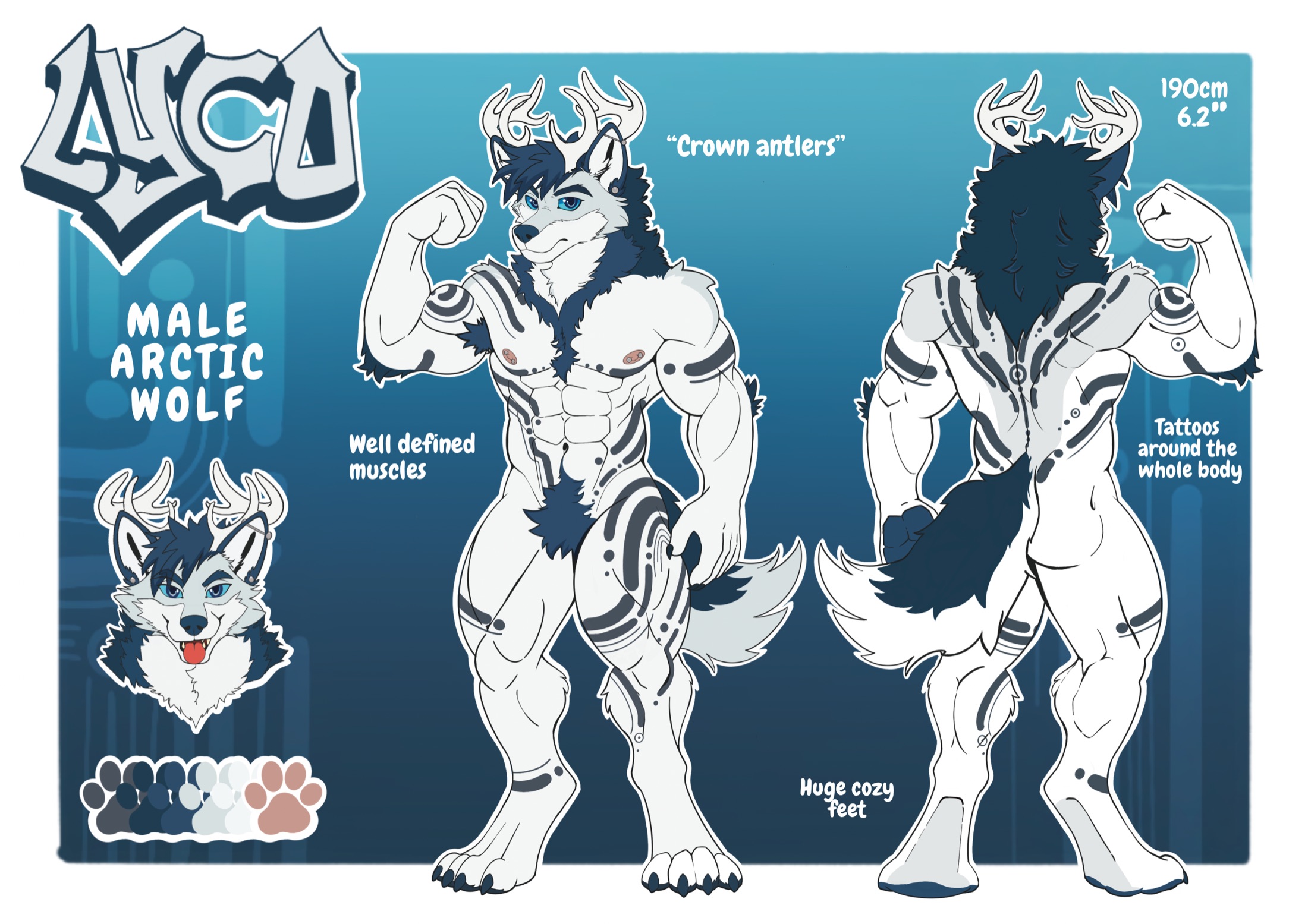 Lyco reference sheet